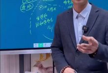 东林易占《分金》教学视频-六六易学网