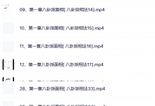 李洪亮【八卦派相法及五雷法】41集-六六易学网