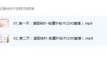 道医绝针-能量针秘术视频两集-六六易学网