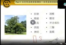 赵老师微信头像预测学视频课-六六易学网