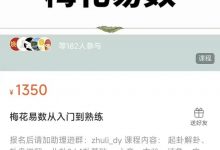 岳哥不群梅花易数从入门到熟练-六六易学网