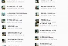 刘易铭梅花易数断卦案例,视频课-六六易学网