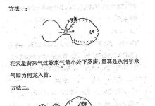 杨公进神水法授徒诀廖民生，260页-六六易学网