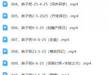 依婷紫微弟子班高清版-六六易学网