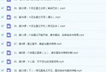 罗镇亲授:紫微研修弟子班(44节)➕️第12期案例分享紫微斗数-六六易学网